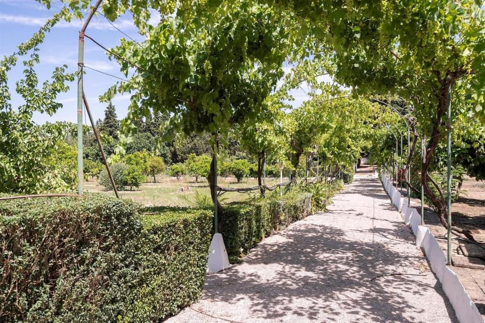 Castelo Horta Nova by Portus Alacer Villa in Évora District, Portugal