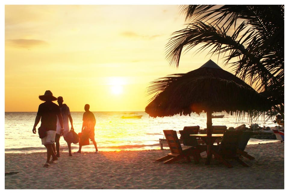 Natural landscape, Beach, Sea view, Sunset, group of guests