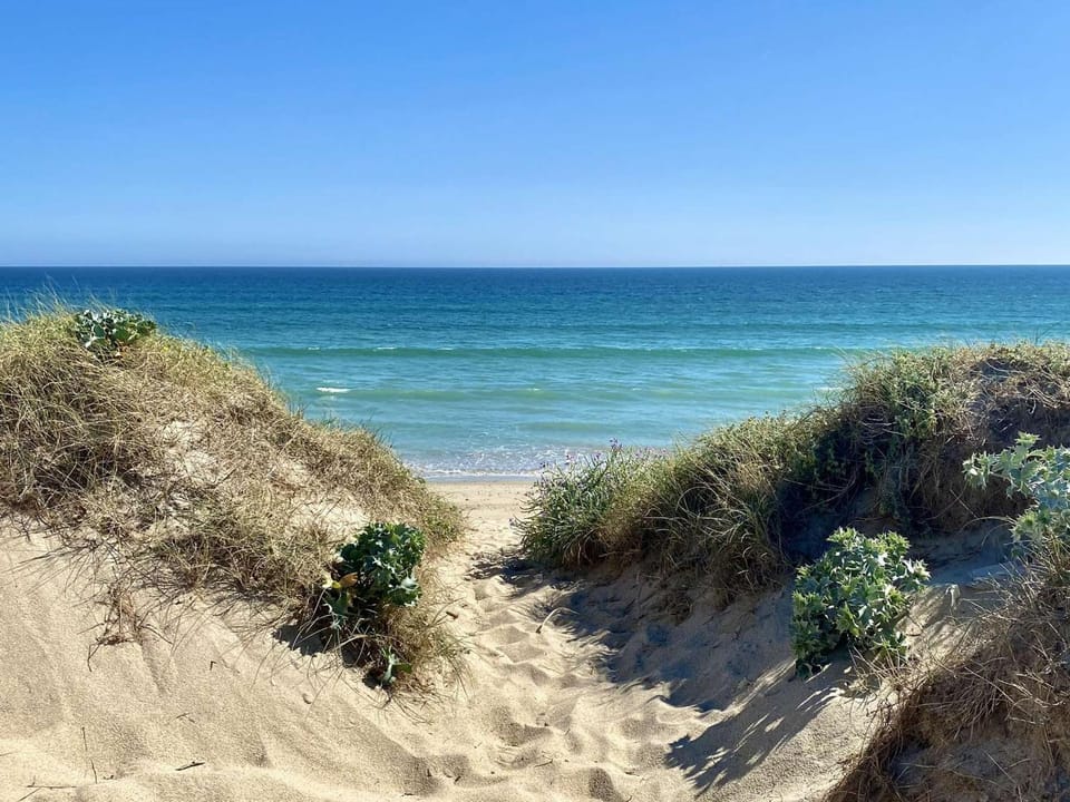 Étel - Appart. 3 pièces, terrasse, animaux admis, parking sécurisé - FR-1-479-226 Apartment in Étel