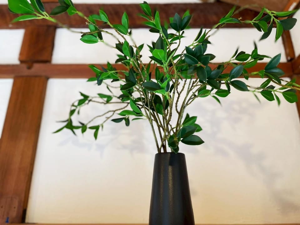 YutoVillageHouse Sweetexperience in Ikebukuro YVM Bed and Breakfast in Shinjuku
