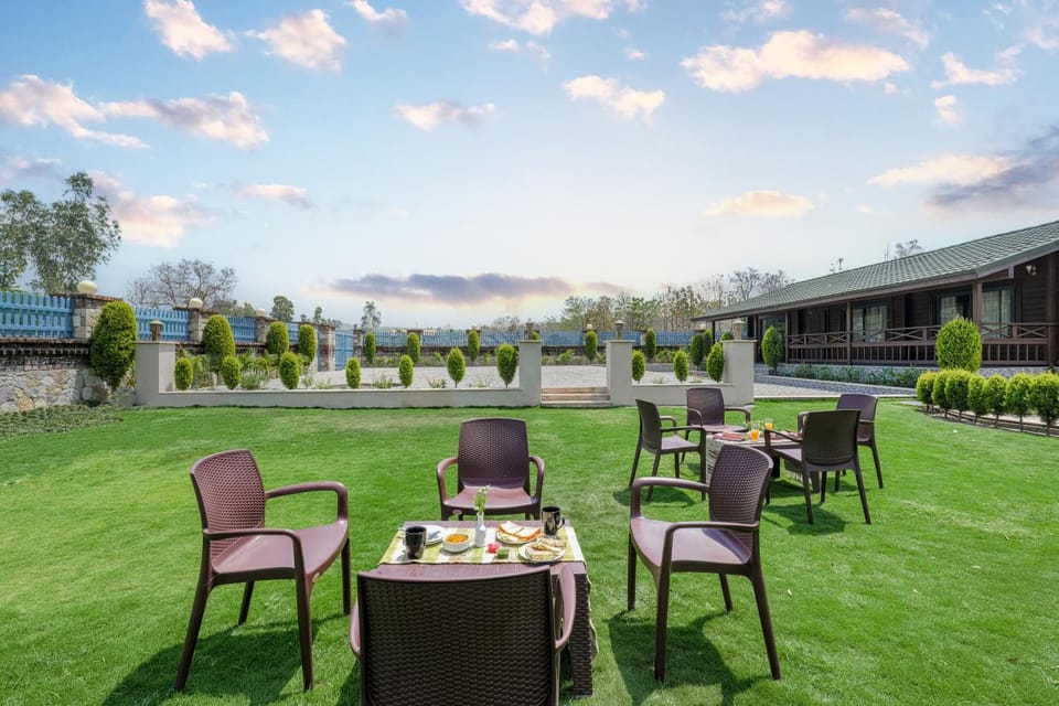 Spring, Day, Garden, Garden view