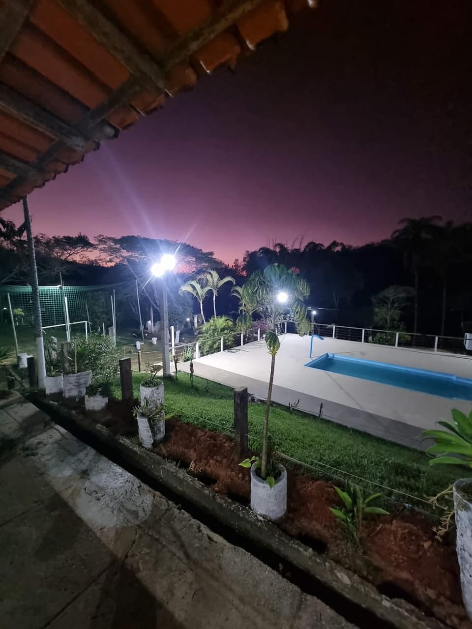 Natural landscape, Garden, Pool view