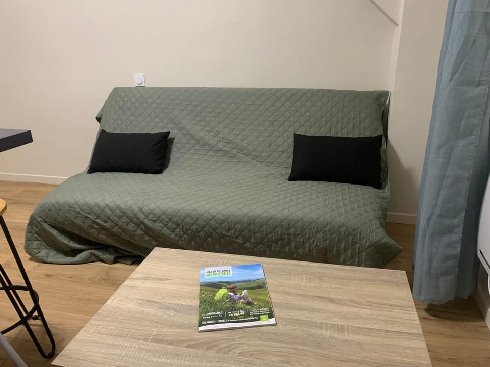 Appartement cosy wifi à deux pas des Thermes Apartment in Auvergne-Rhône-Alpes
