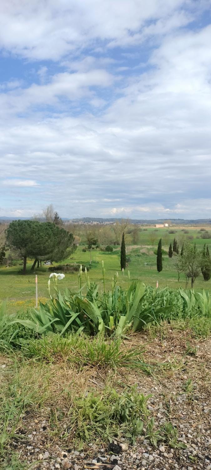 Spring