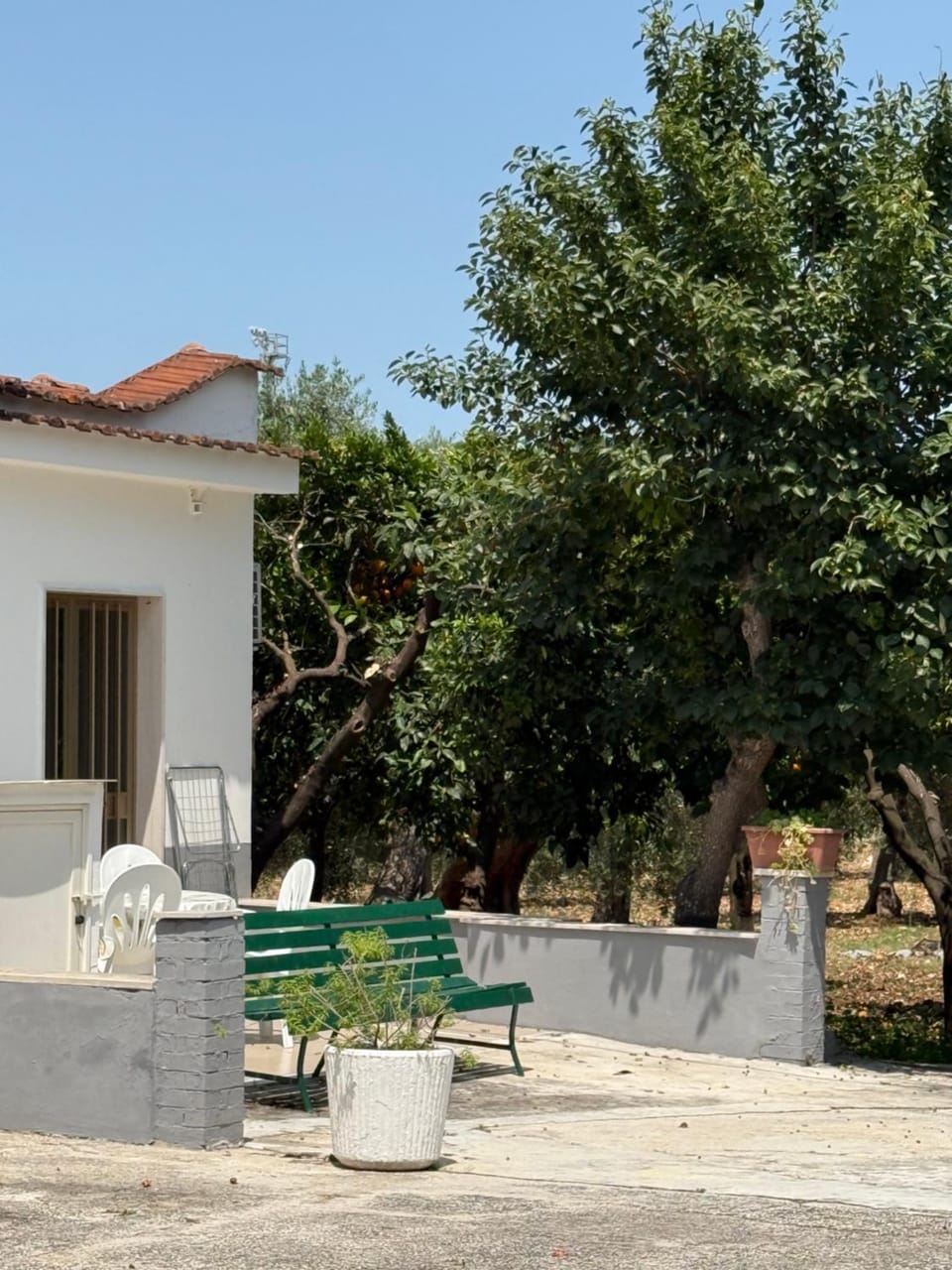 Property building, Day, Garden, Garden view