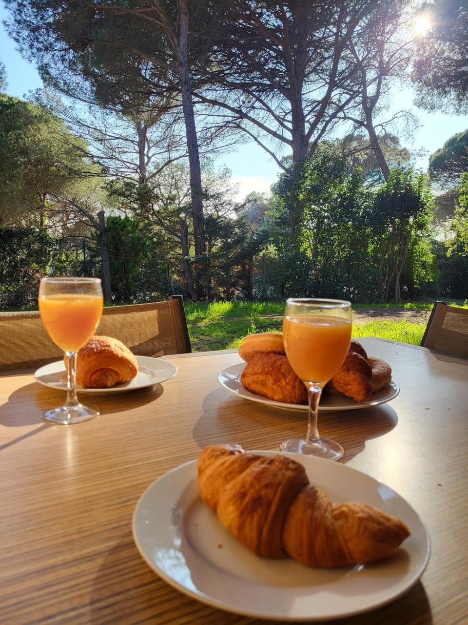 Perfect holidays Apartment in Saint-Raphael