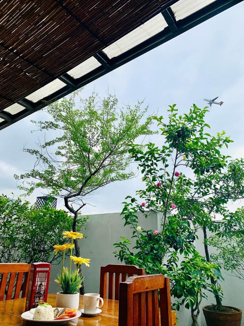 Balcony/Terrace