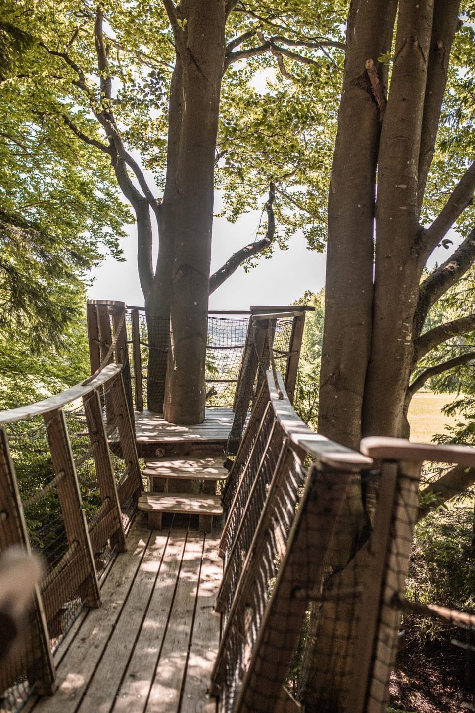 Natural landscape, Garden view