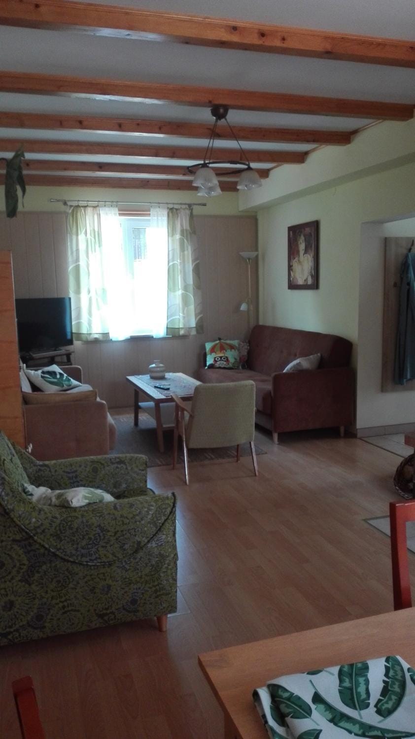 Communal lounge/ TV room, Meals