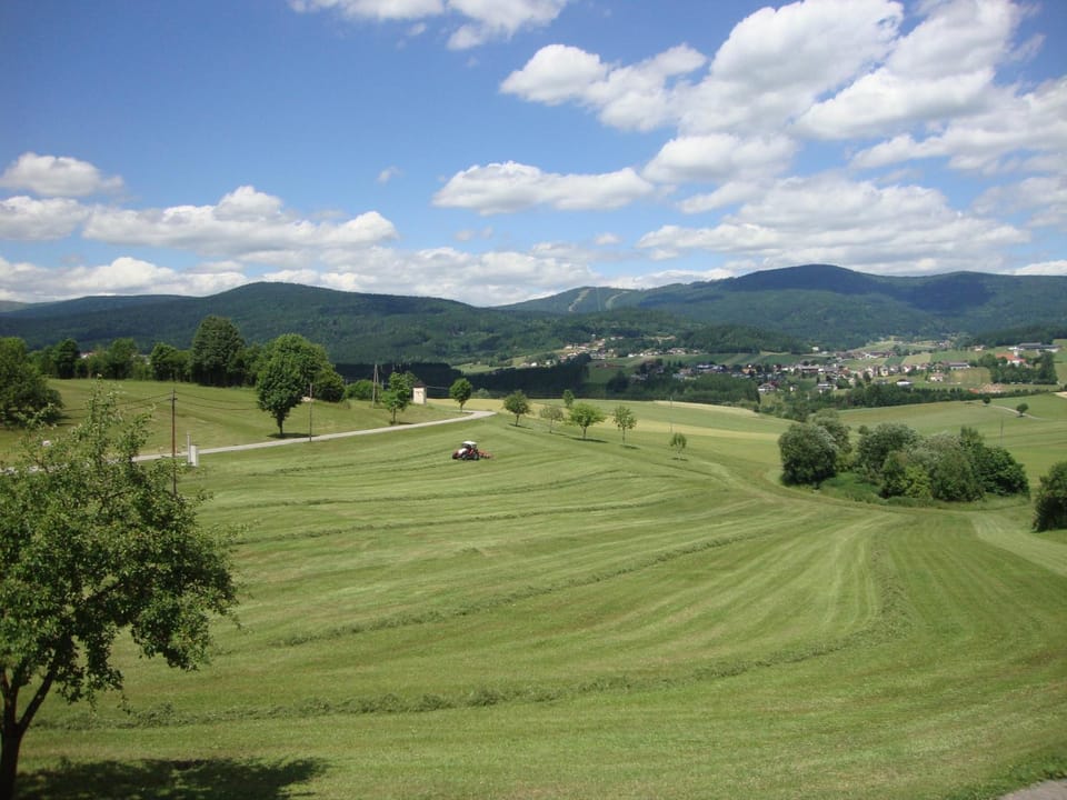 Natural landscape