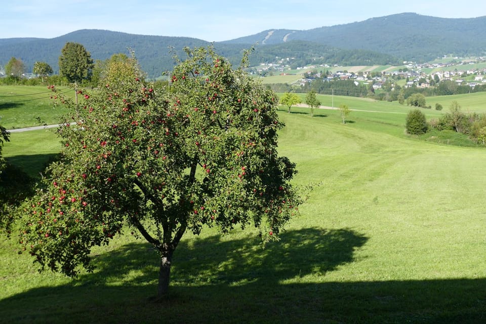 View (from property/room)