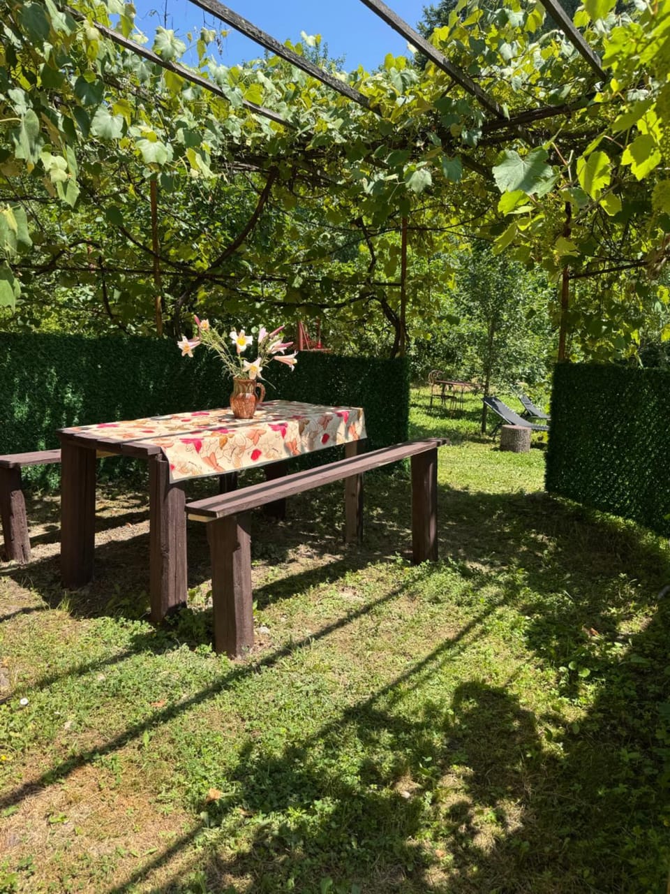 Day, Garden