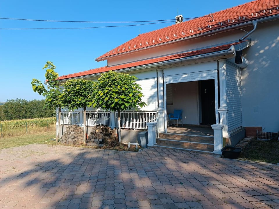 Villa built by western comfort standards Villa in Serbia