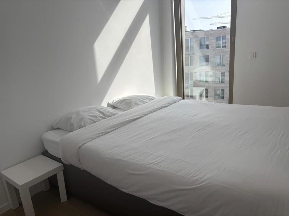 Splendid Penthouse in City Center with Water View Apartment in Brussels