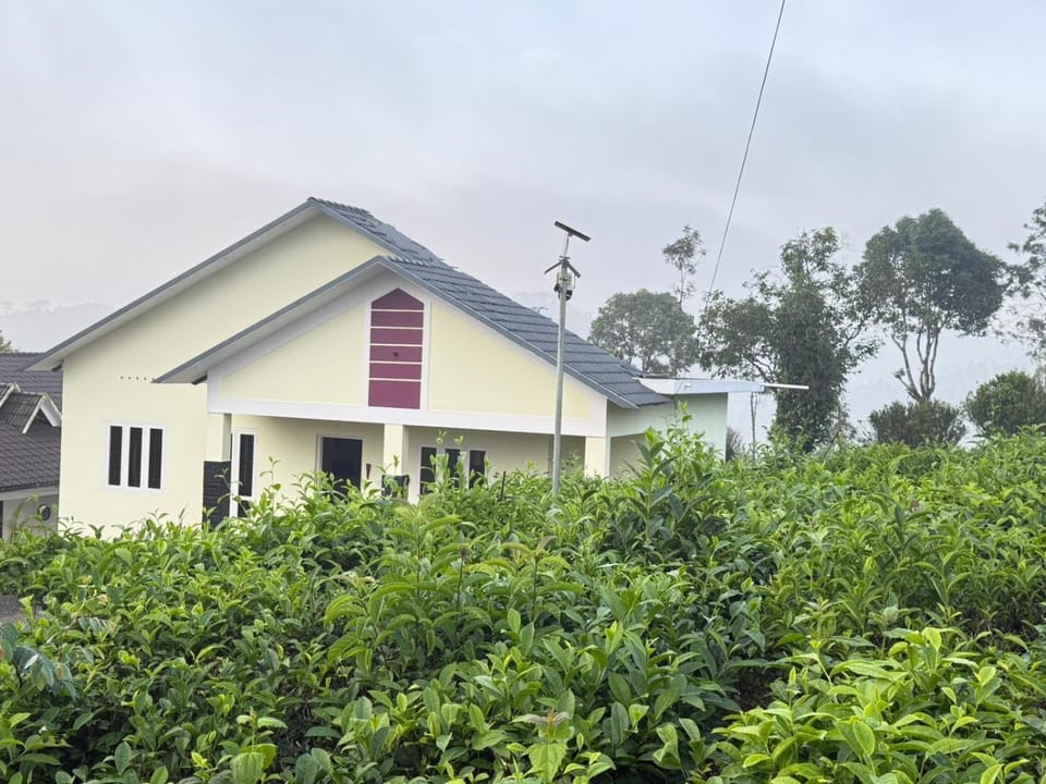 Property building, Natural landscape, Garden, Garden view