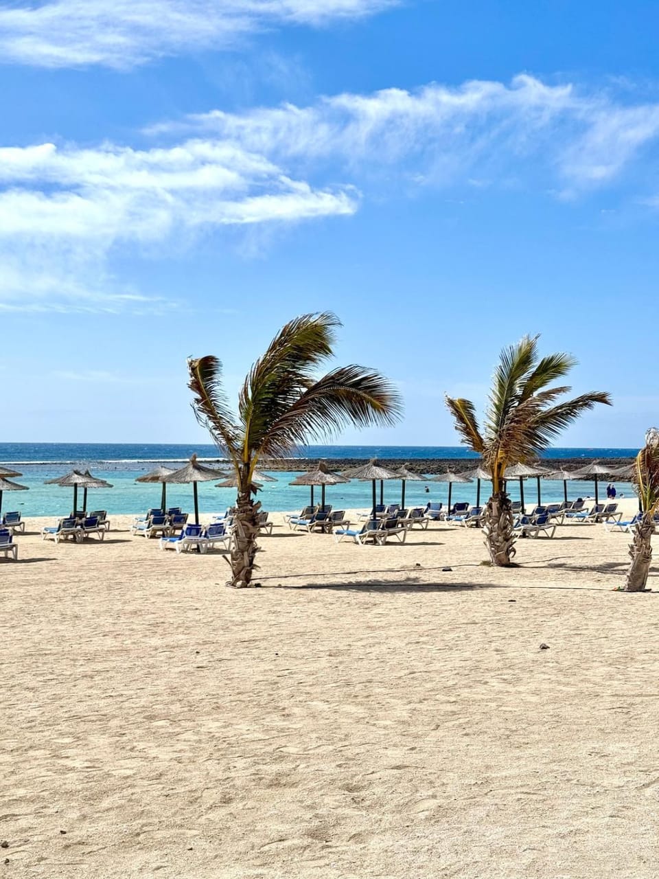 Natural landscape, Beach, Sea view, sunbed