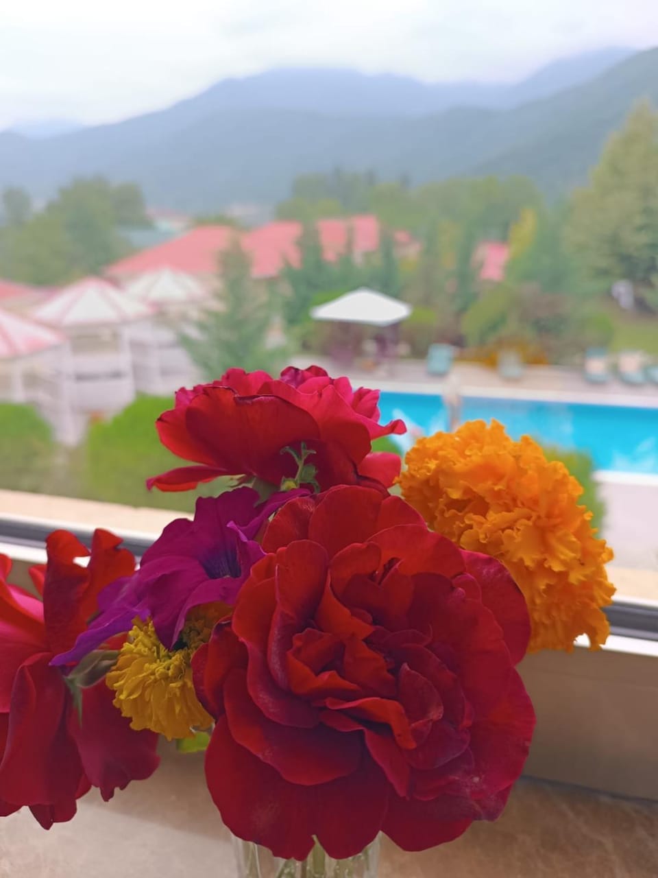 Spring, Day, Pool view, Swimming pool