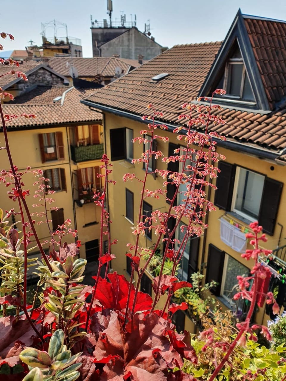 Property building, City view