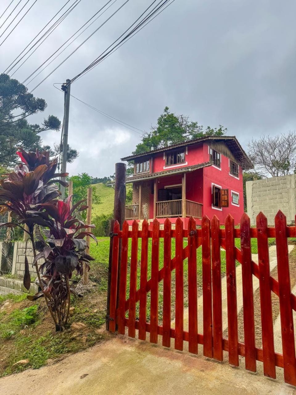 Property building, Garden, Garden view