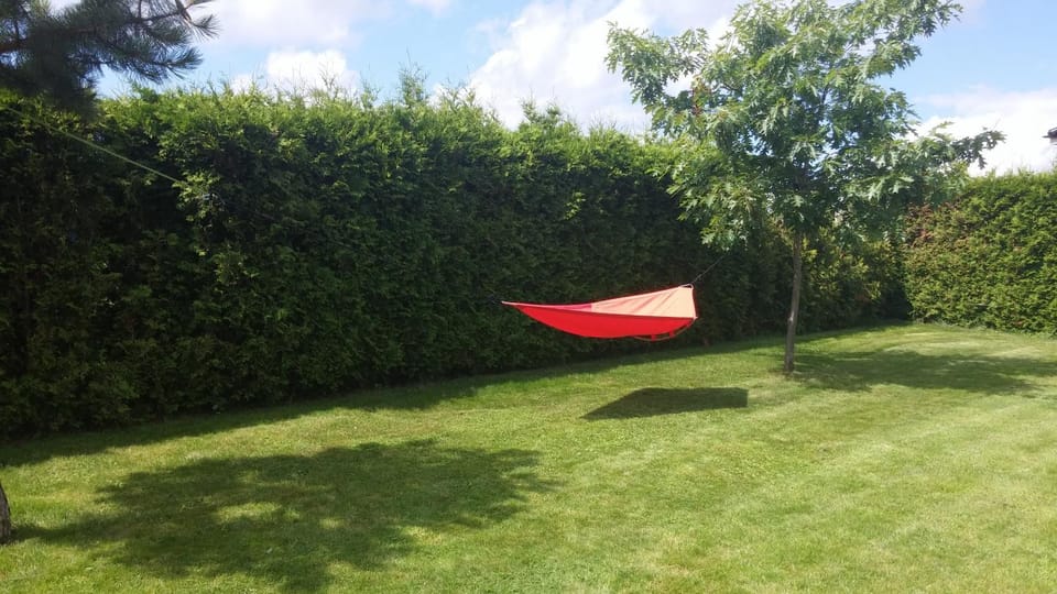 Natural landscape, Garden, Garden view