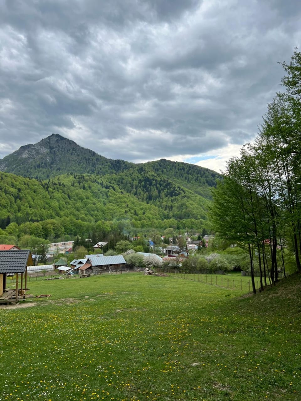 Wolfs Den Lepsa Chalet in Romania