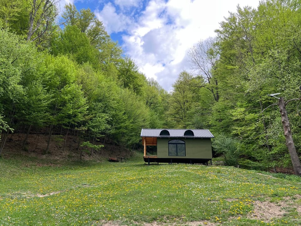 Wolfs Den Lepsa Chalet in Romania