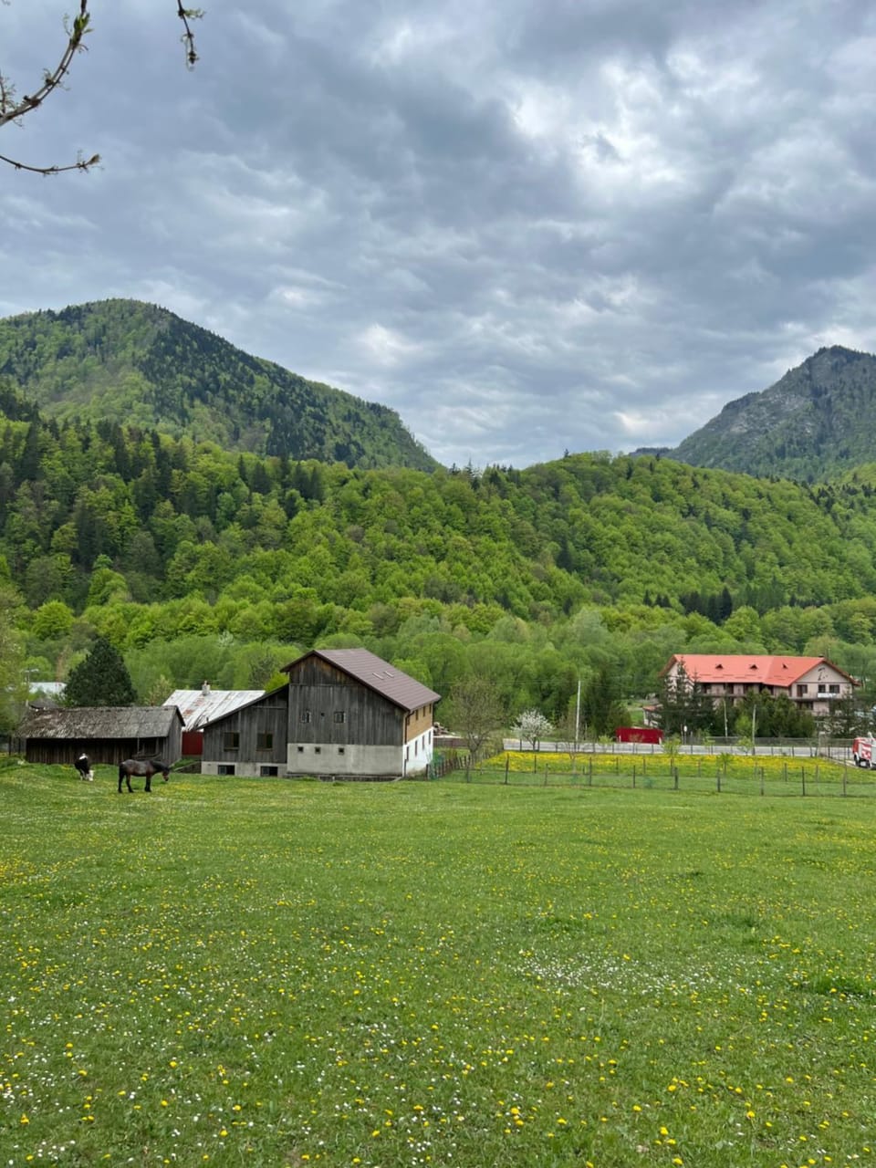 Wolfs Den Lepsa Chalet in Romania