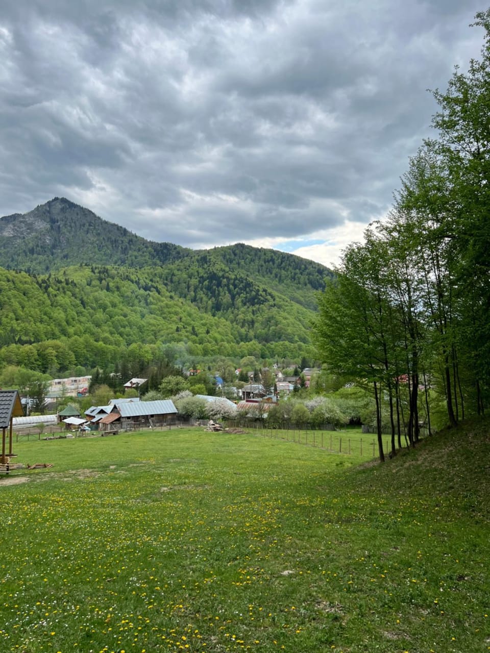 Wolfs Den Lepsa Chalet in Romania