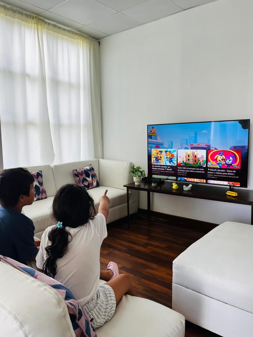 TV and multimedia