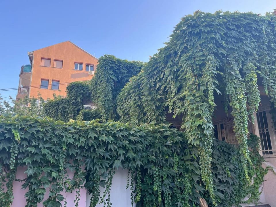 Property building, Day, Garden, Garden view