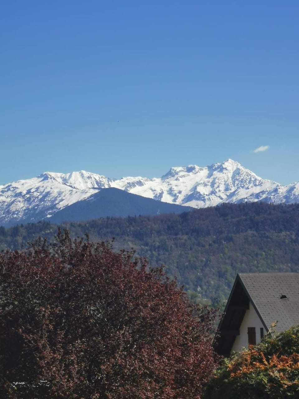 Mountain view