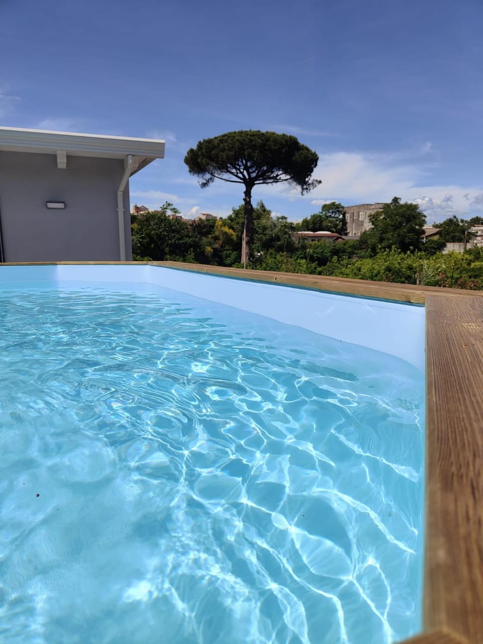 Property building, Natural landscape, Swimming pool