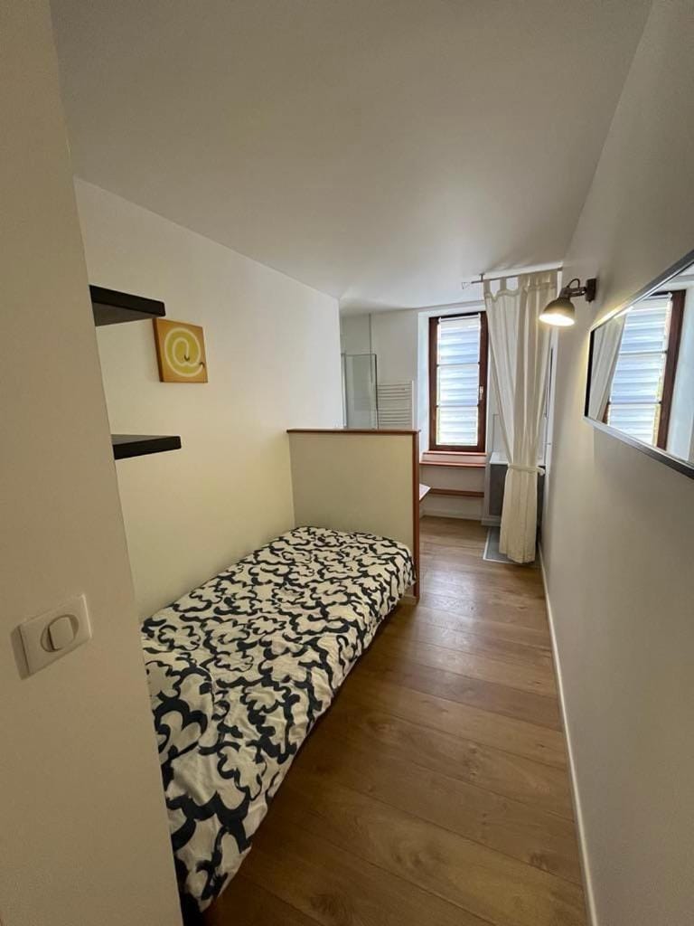 Superbe appartement atypique au cœur de Mulhouse Apartment in Mulhouse