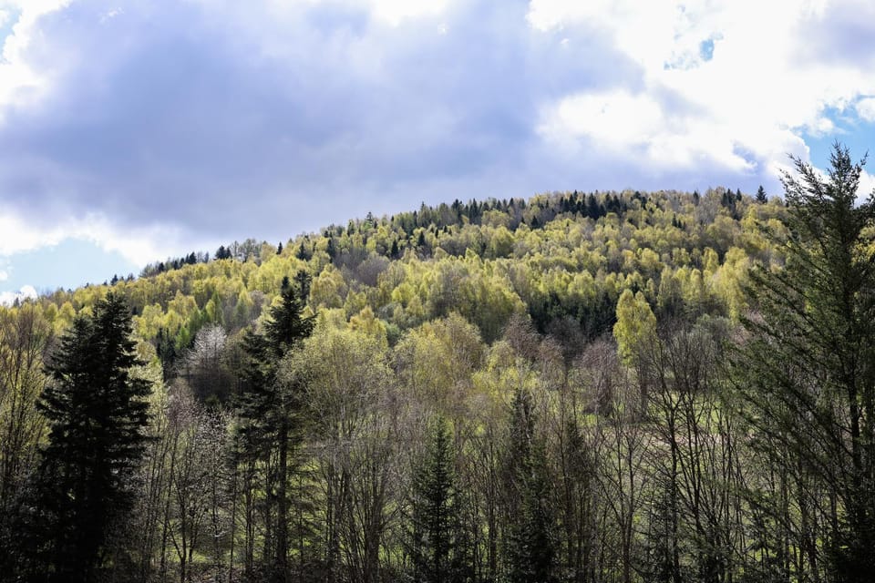 Natural landscape, Mountain view