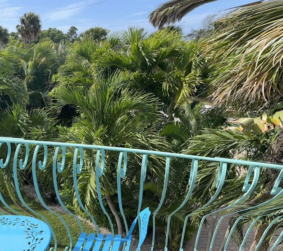Tree Top Retreat! Private & close to 5th Ave! Apartment in East Naples