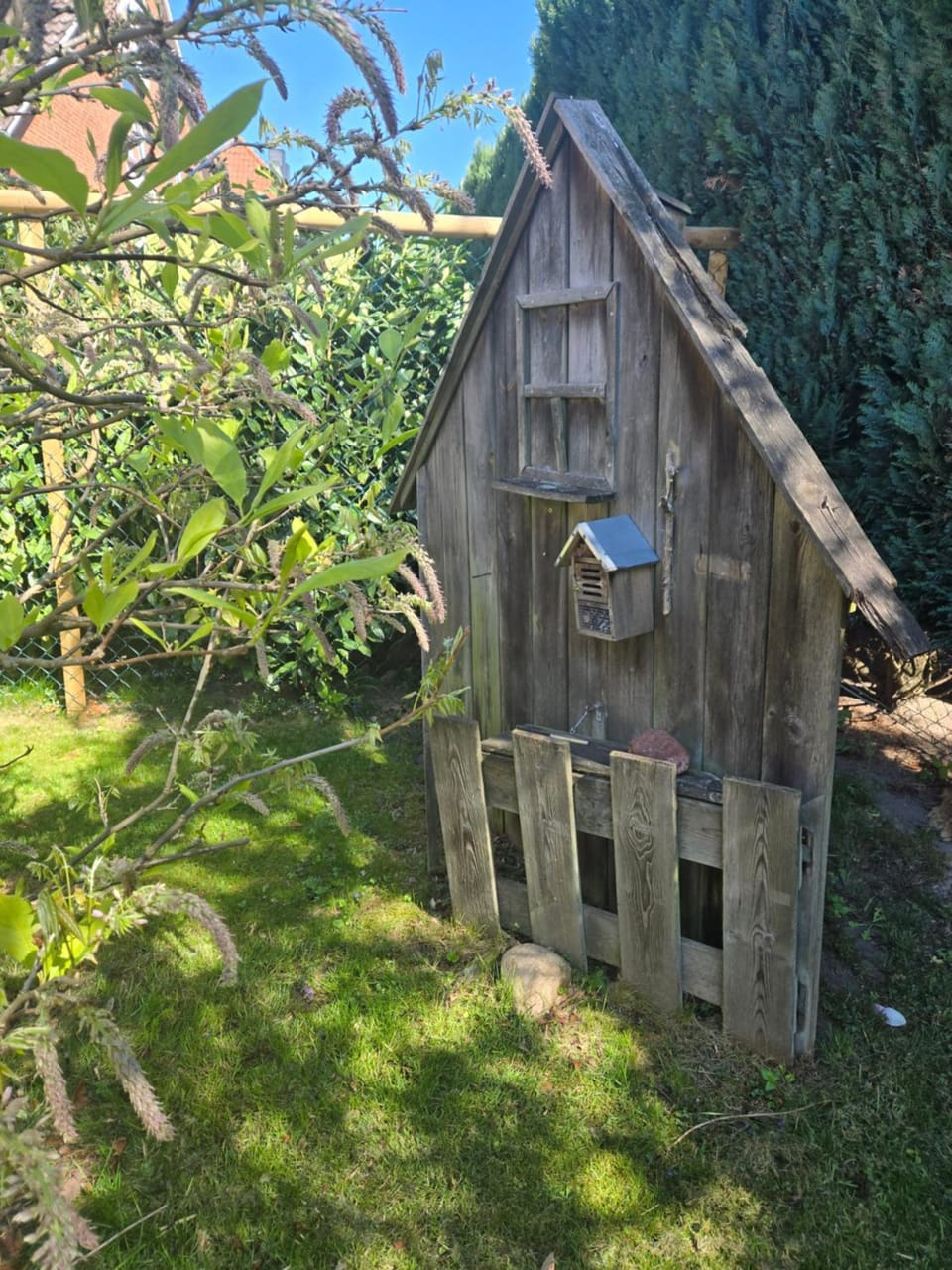 Spring, Garden, Garden view