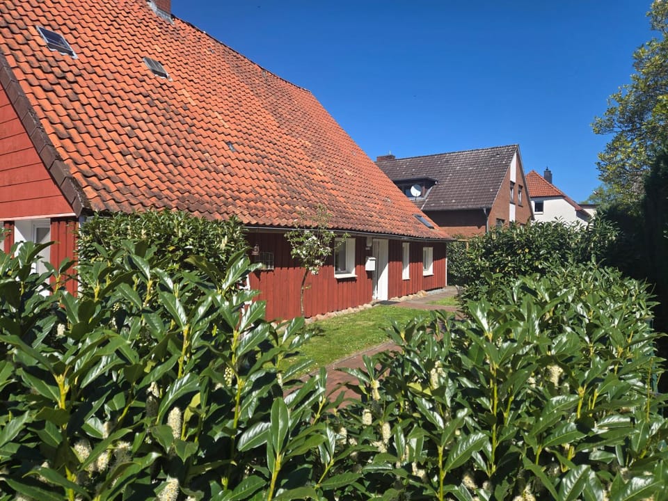 Property building, Spring, Garden, Garden view