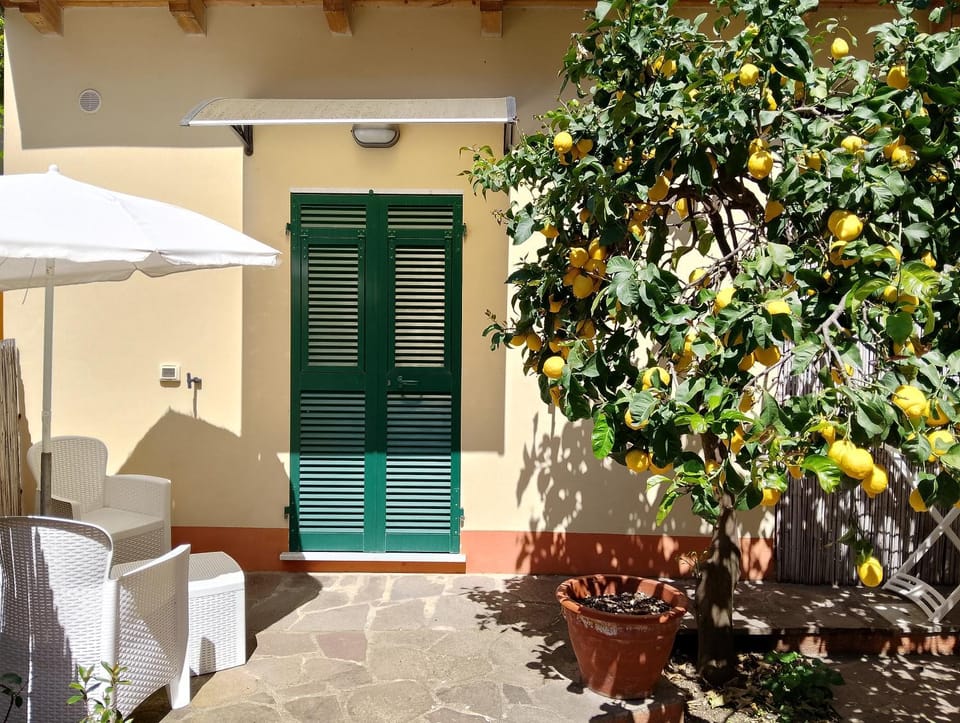 Spring, Garden, Garden view, Internal: Not applicable to any particular room