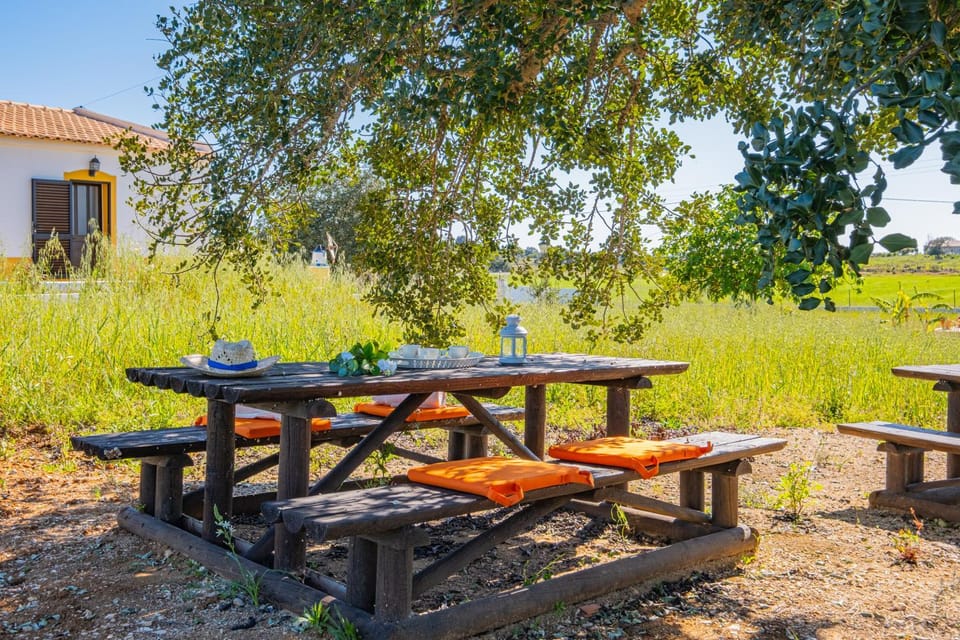 Natural landscape, Dining area, Garden view