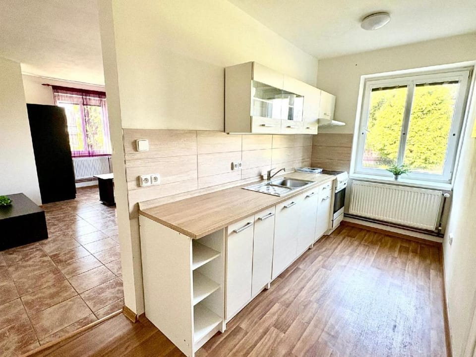 Varhany Apartment in Czechia