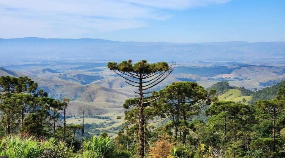 SITIO em Serra da Mantiqueira House in State of São Paulo