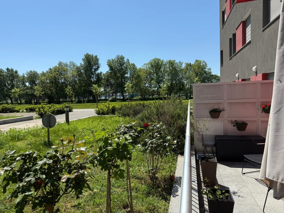 Garden view