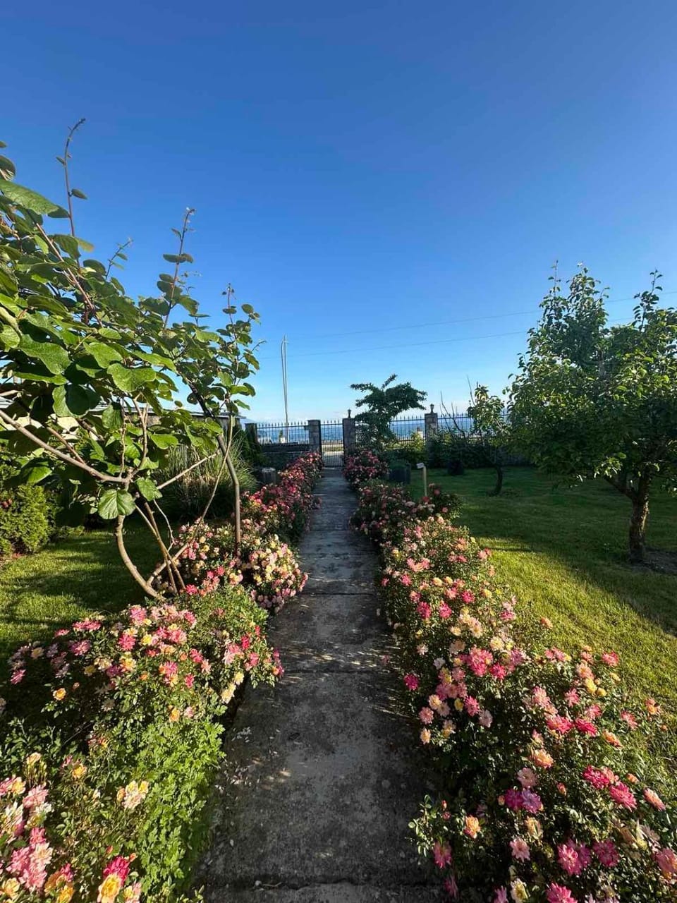 Villa Desanka Apartments and Studios Bed and Breakfast in Municipality of Ohrid, North Macedonia