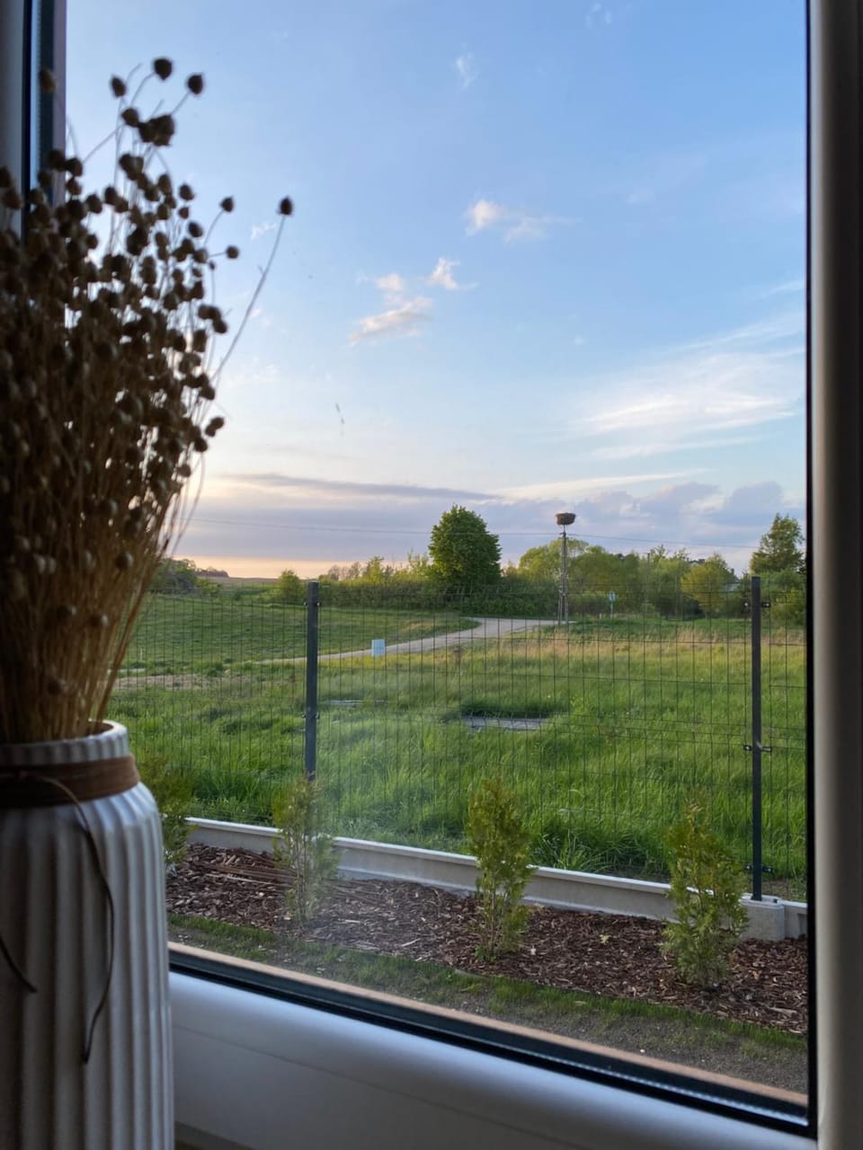 Spring, Garden, View (from property/room)