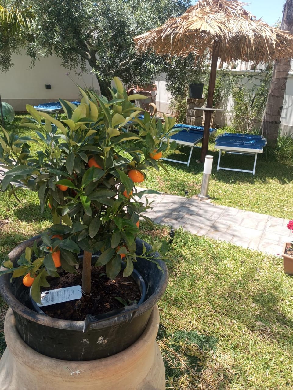 Mare&Relax Bed and Breakfast in Mazara del Vallo