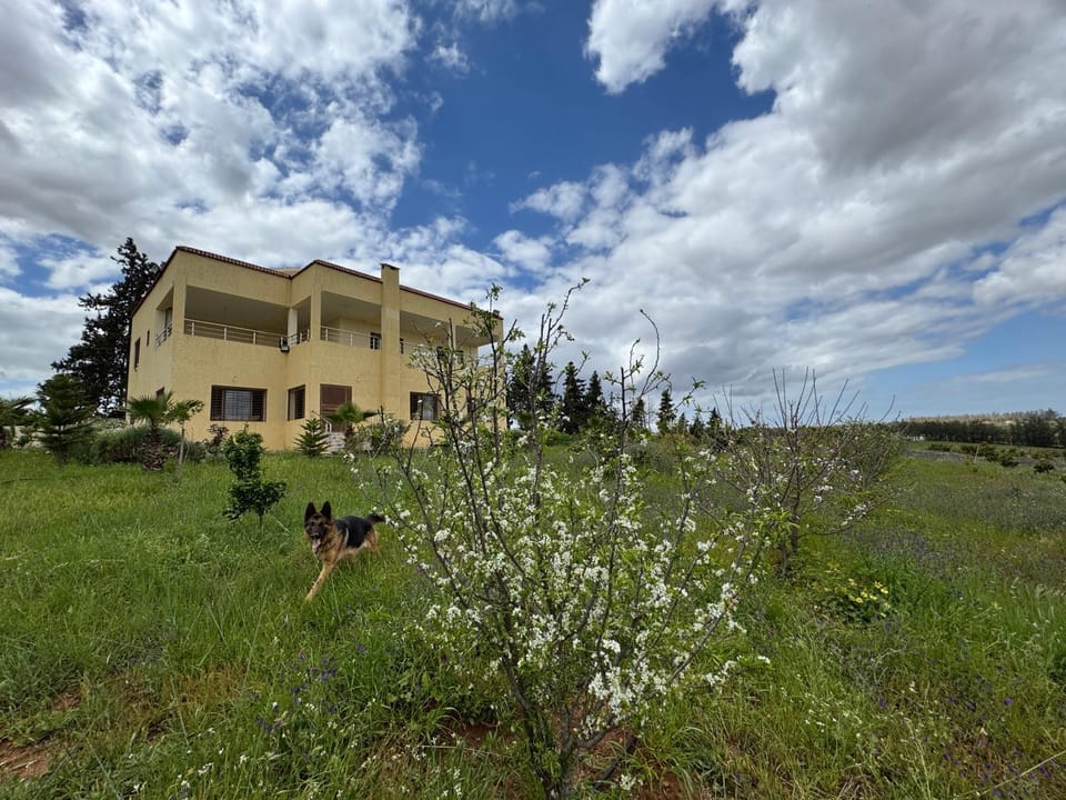 Property building, Natural landscape, Garden, Pets, Garden view