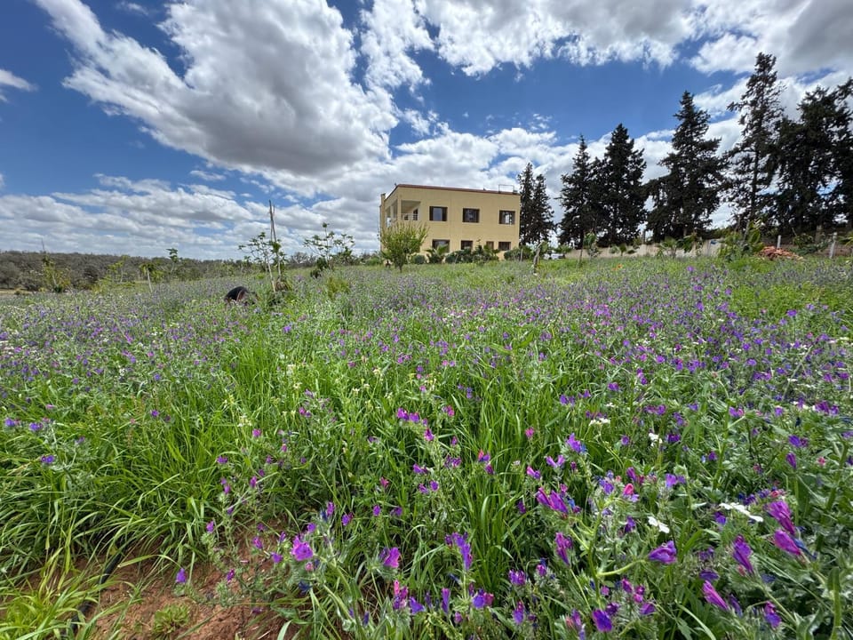 Zs Farm Kamouni - WIFI Fibre - Jacuzzi on request House in Rabat-Salé-Kénitra