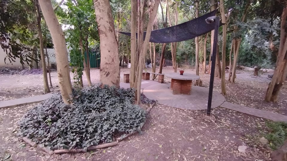 Natural landscape, Garden