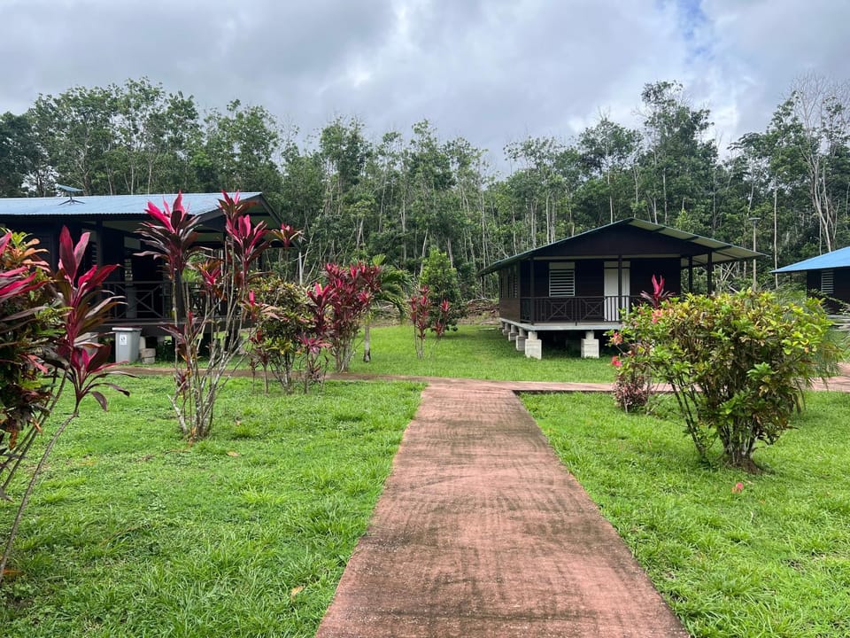 Gîte des Flamboyants Luna Pk 14 Nature lodge in Arrondissement of Cayenne, French Guiana