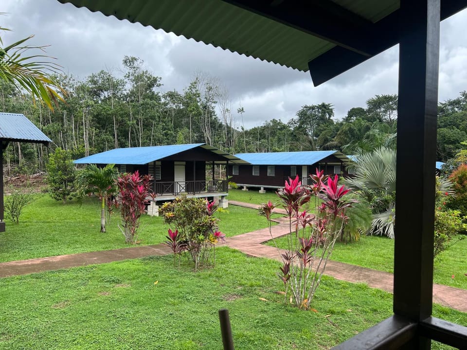 Gîte des Flamboyants Orion Pk 14 Nature lodge in Arrondissement of Cayenne, French Guiana